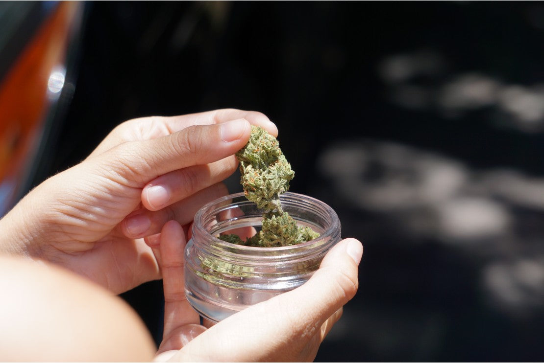 The Future Of CBD Flower Tea In 2025