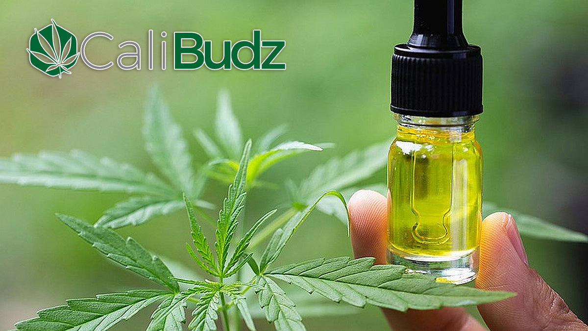 6 Health Benefits of Cali Budz CBD Oil