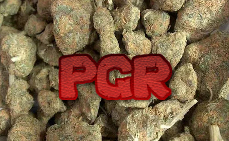 Why PGR Cannabis Feels Stronger โ But Not in a Good Way