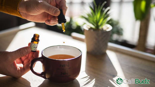 What Are the Potential CBD Oil Tea Benefits?