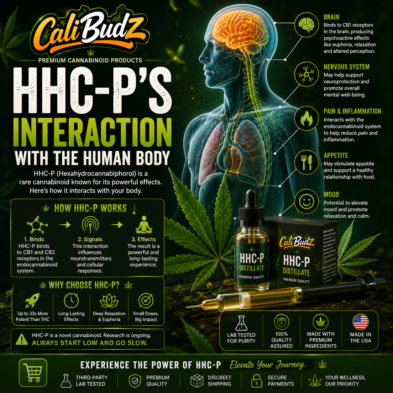 HHC-P's Interaction with the Human Body
