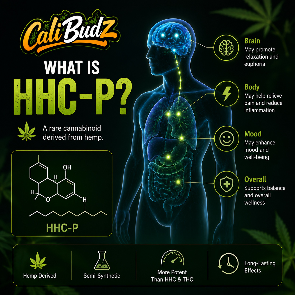 What is HHC-P, and how does it interact with the human body?