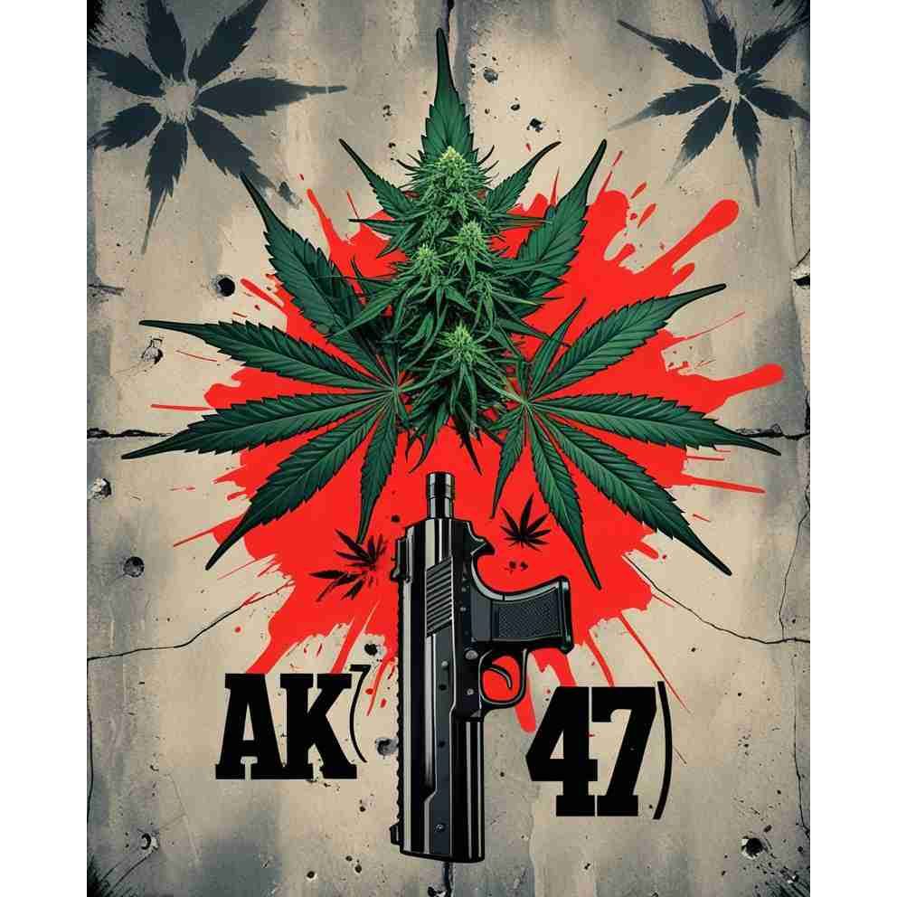 AK (AK 47) Feminised Cannabis Seeds