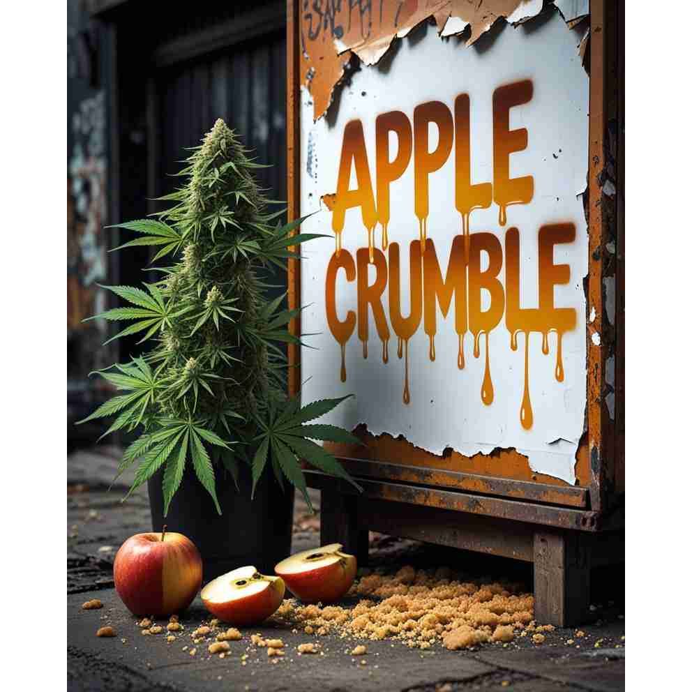 G14 THC Apple Crumble|Apple Crumble Cannabis Seeds