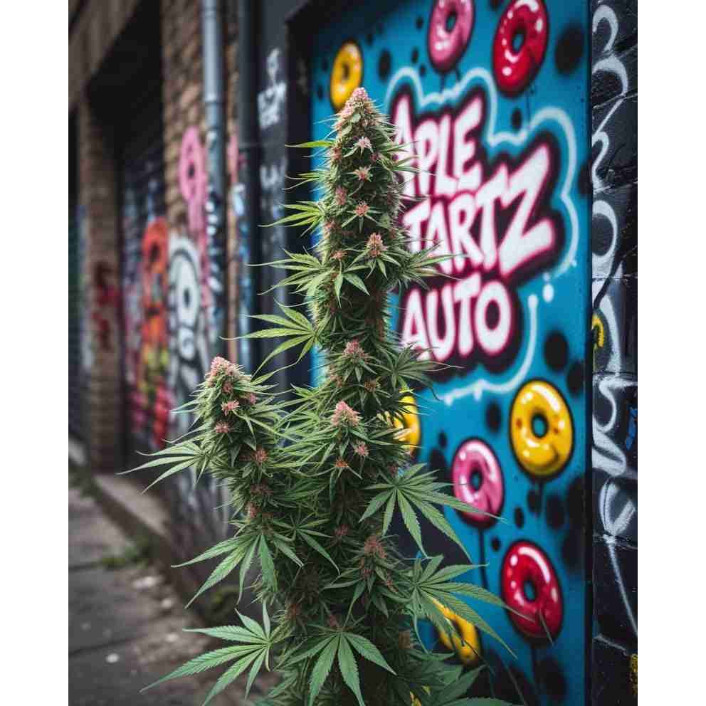 G14 THC Apple Tartz Auto|