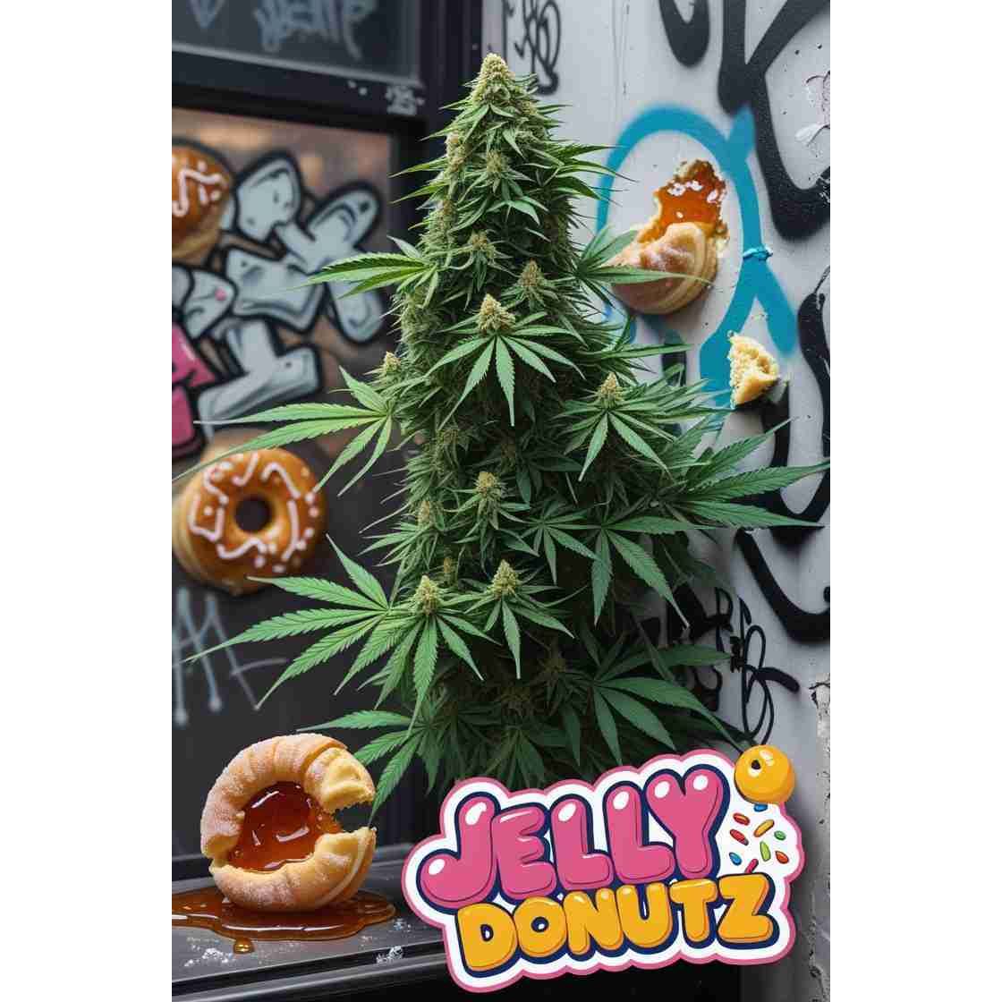 Jelly Donutz Feminised Cannabis Seeds