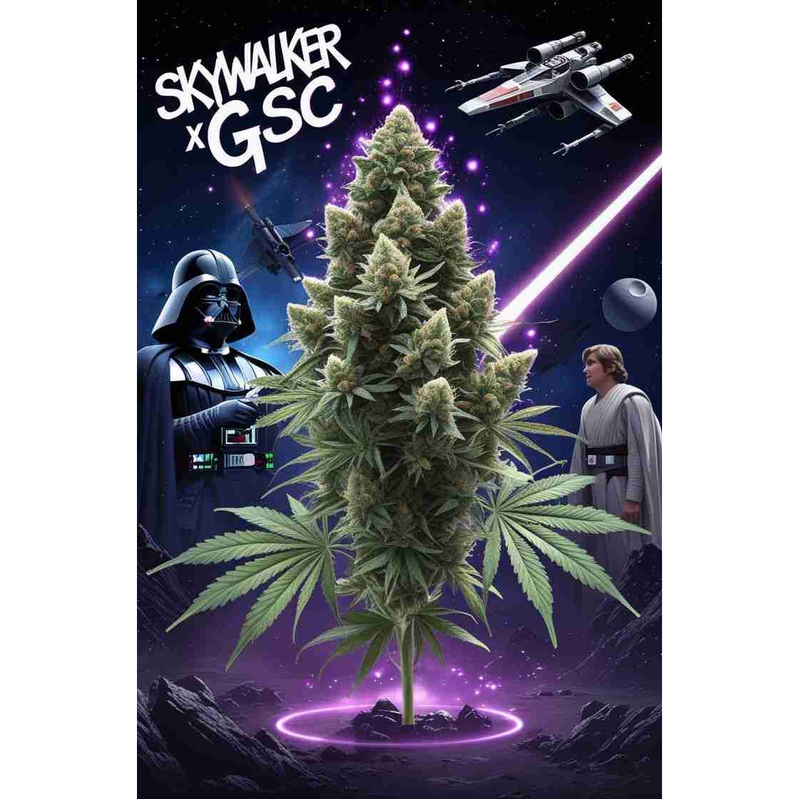 Skywalker X Girl Scout Cookies Feminised Cannabis Seeds