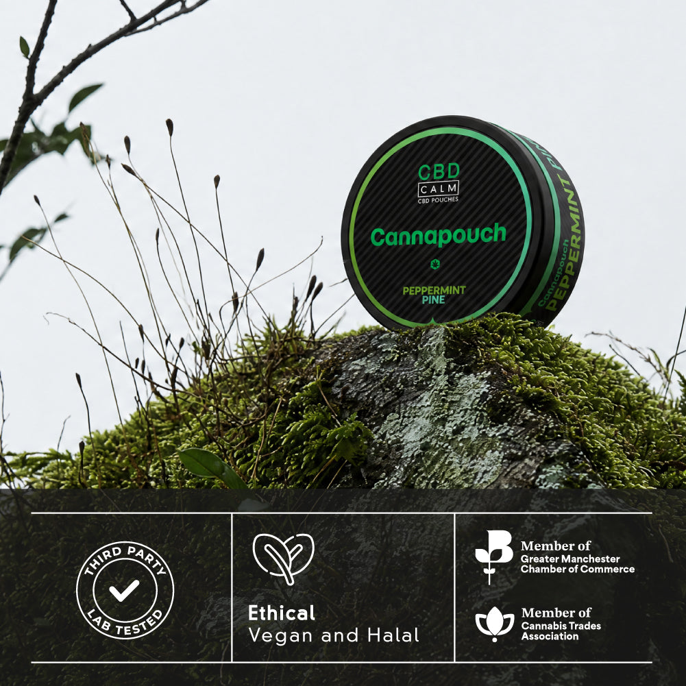 Cannapouch 50mg Tropical Sour Diesel CBD Pouches CBD Calm