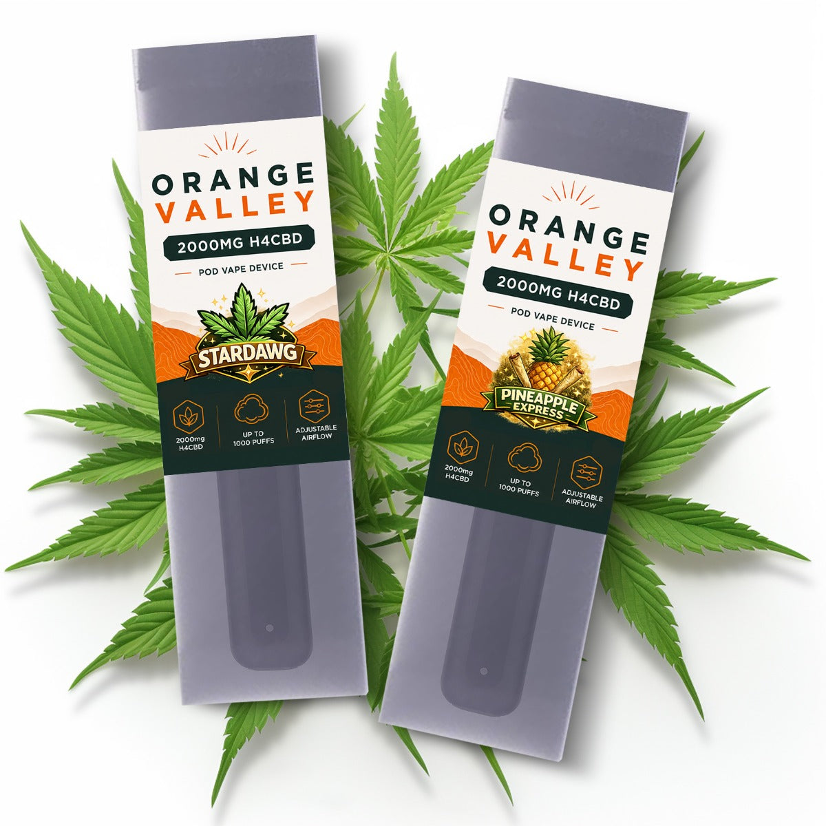H4CBD Pod Pen 1000 Puffs 2x1ml 2000mg
