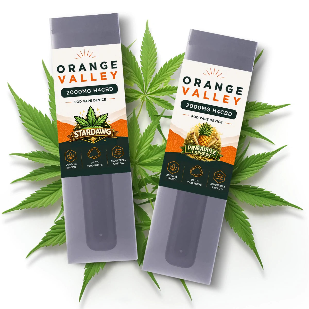 H4CBD Pod Pen 1000 Puffs 2x1ml 2000mg