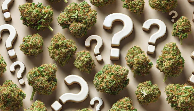 CBD is NOT Cannabis - You Won't Get Stoned!