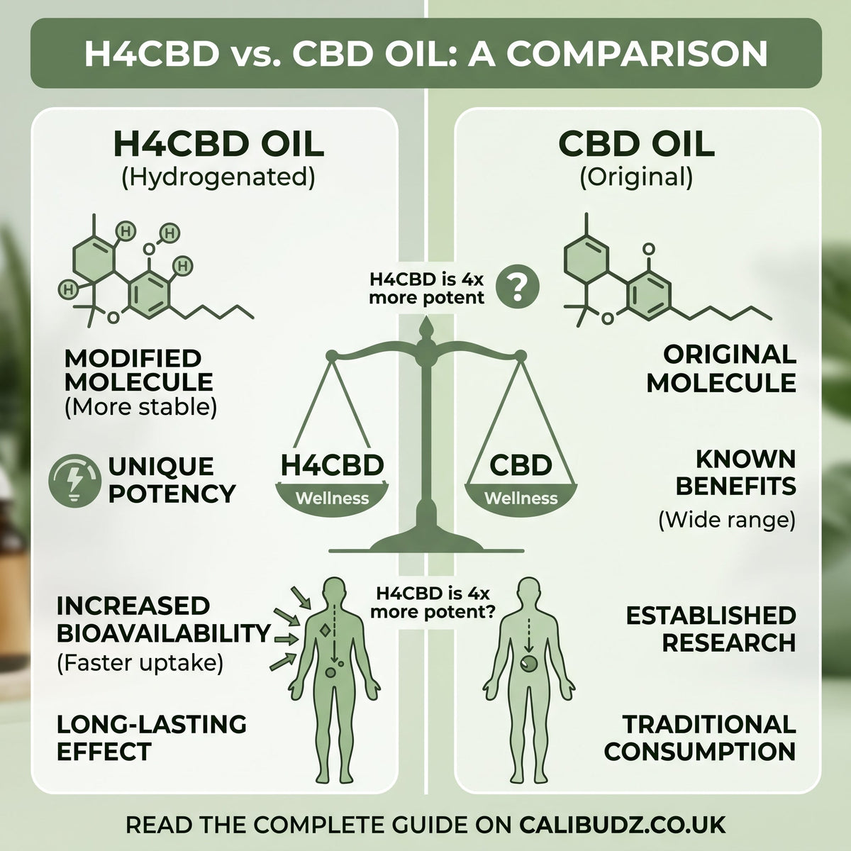 What is H4CBD Oil and How Does it Differ from CBD Oil?