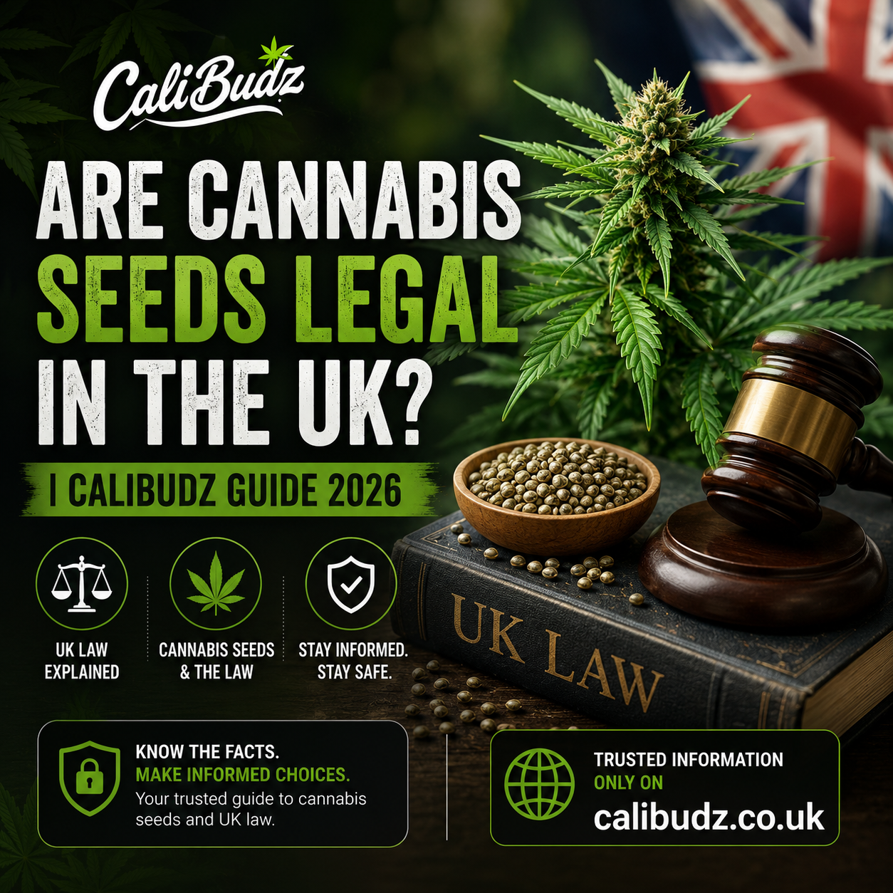 Are Cannabis Seeds Legal in the UK? | CaliBudz Guide 2026