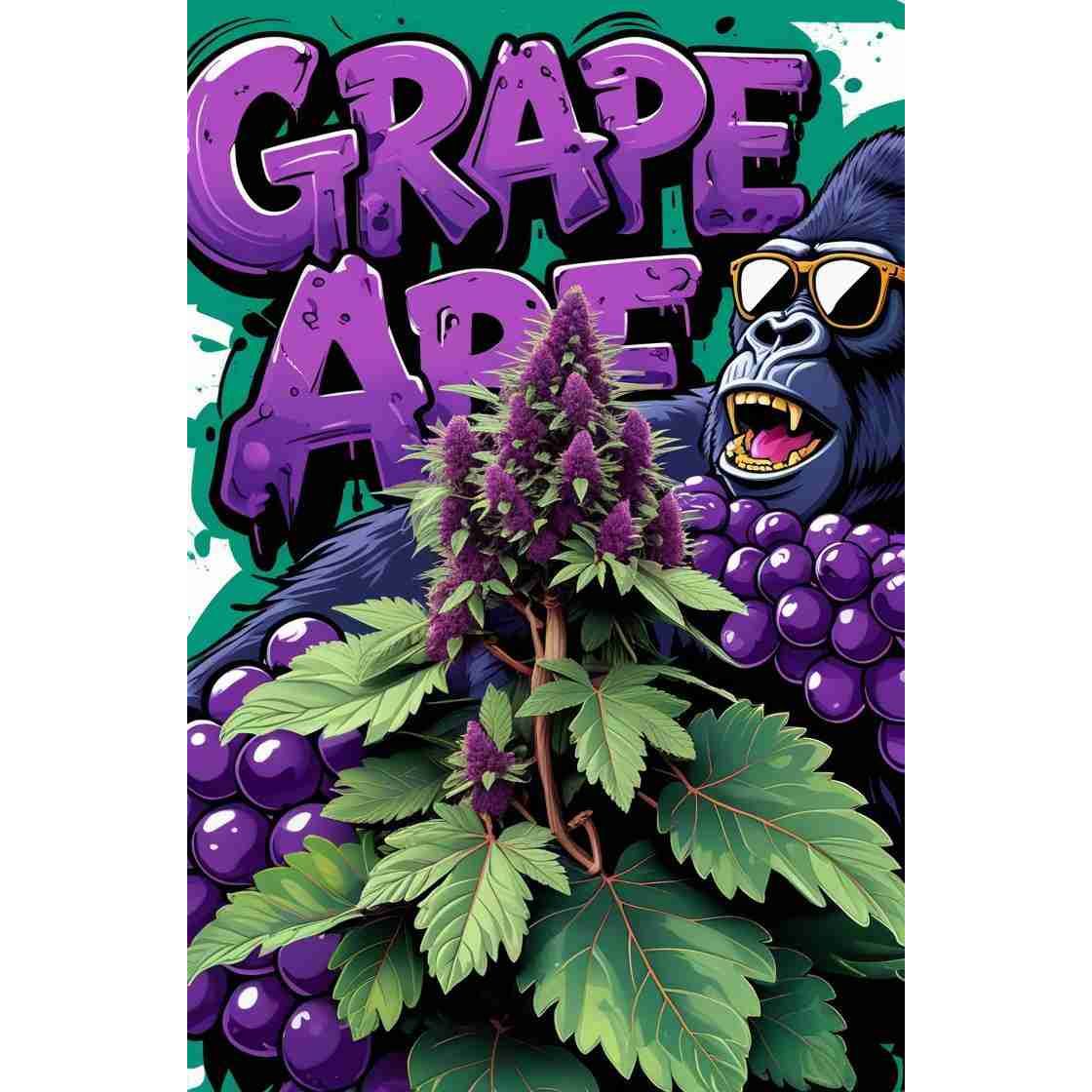 G14 THC Grape Ape|Grape Ape Cannabis Seeds
