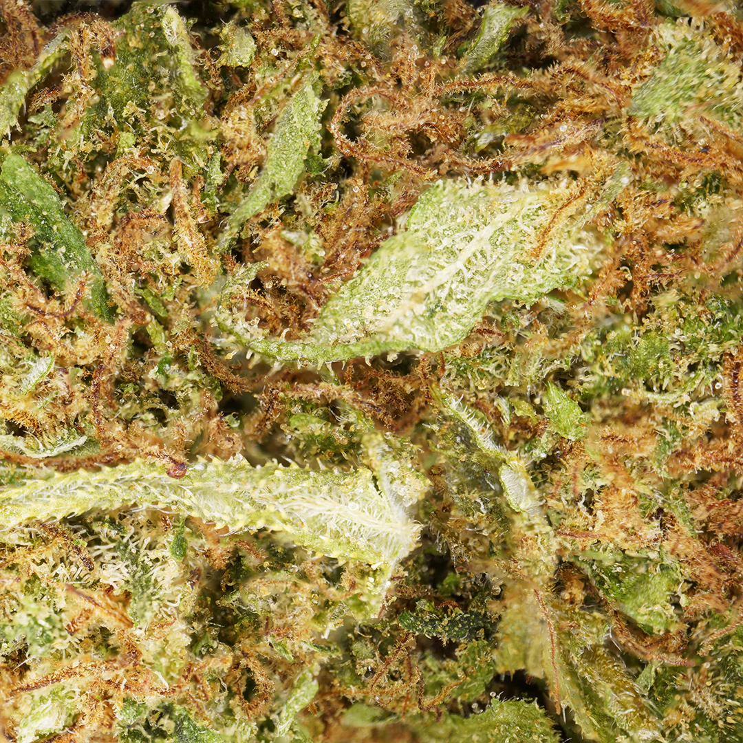 Northern Lights CBD Flower Tea